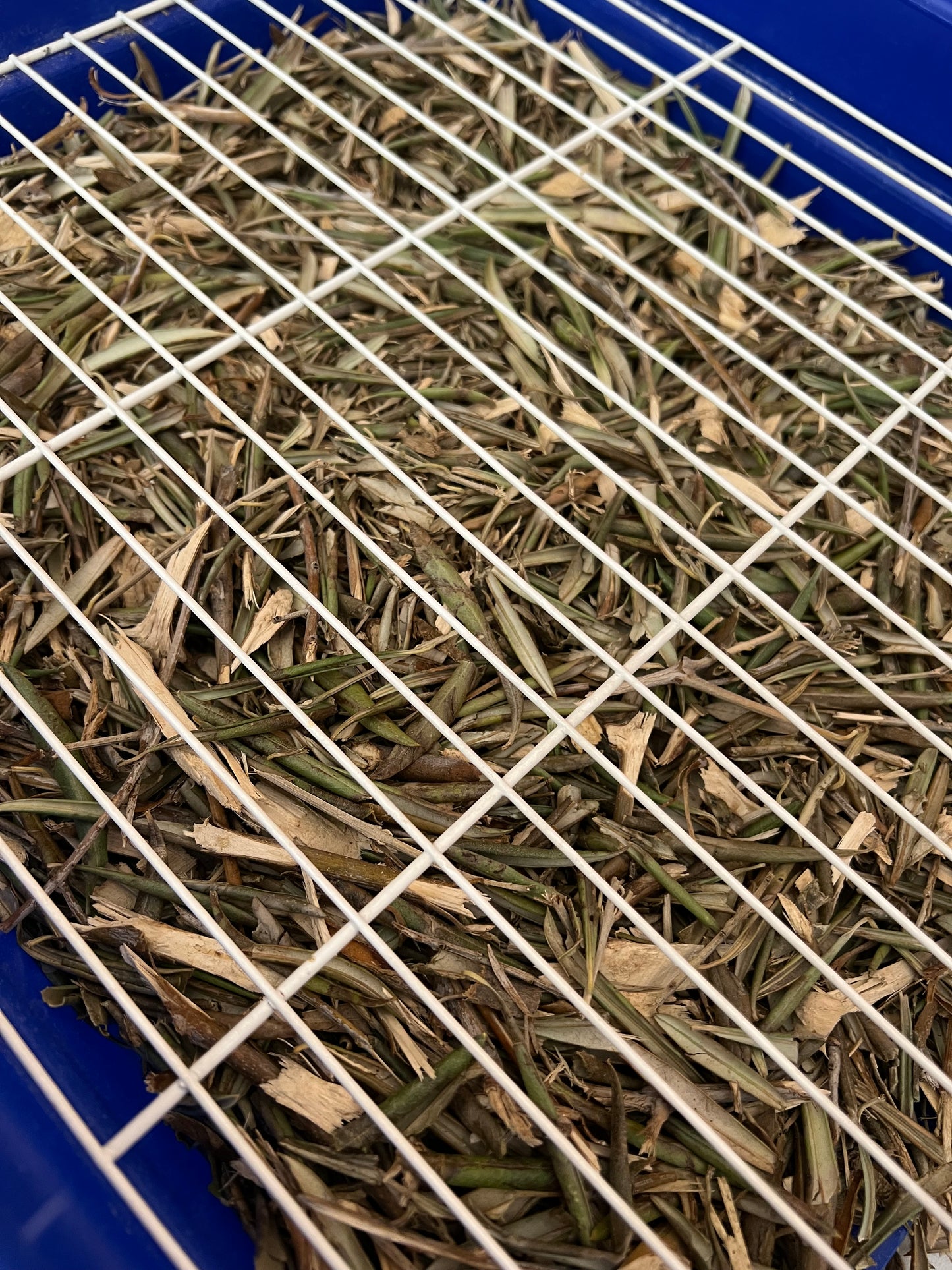 Fondo Vegetal de Olivo – Limpieza natural para jaulas de aves