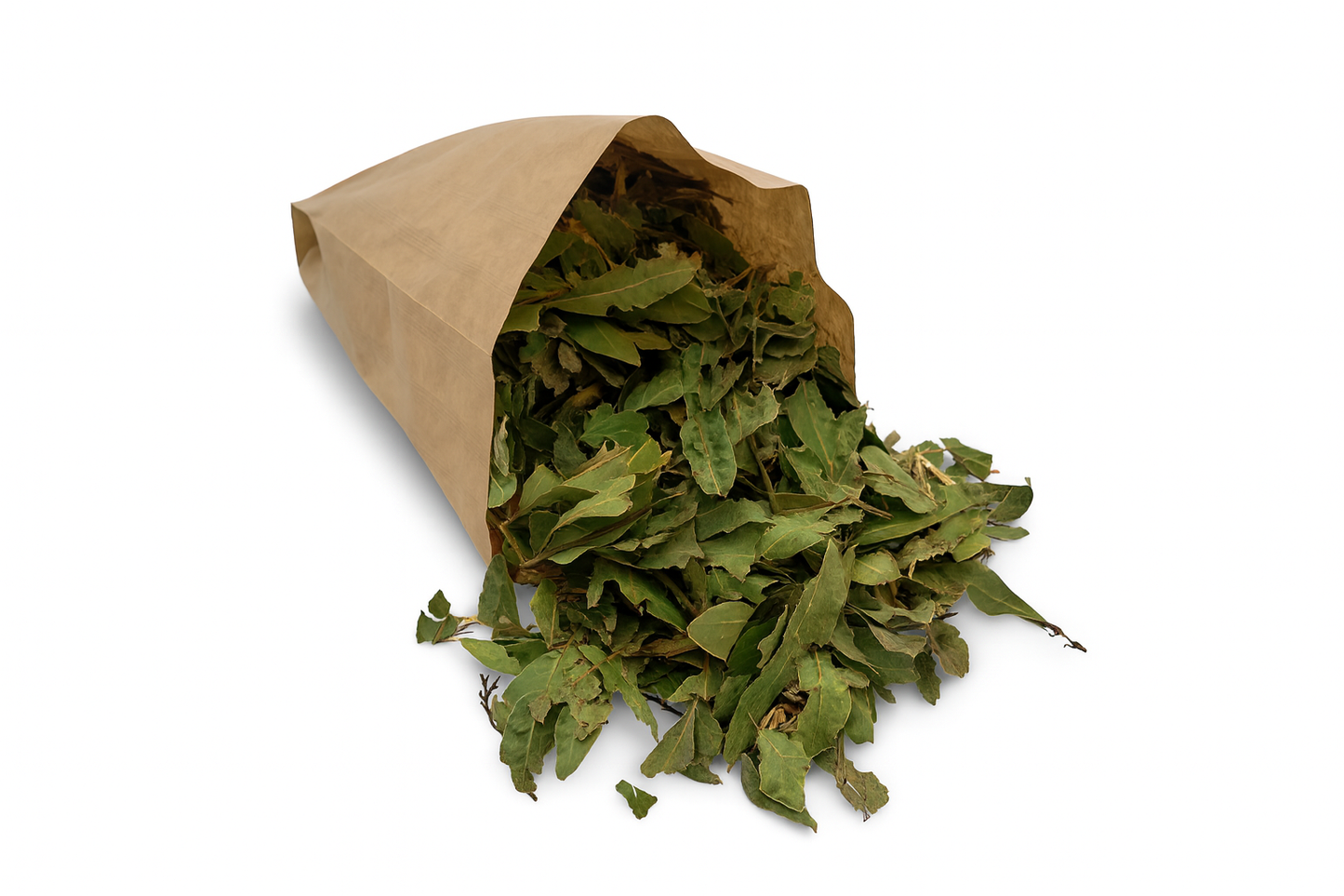 Forrajeo Natural de Laurel – Hojas y Trozos de Rama para Aves