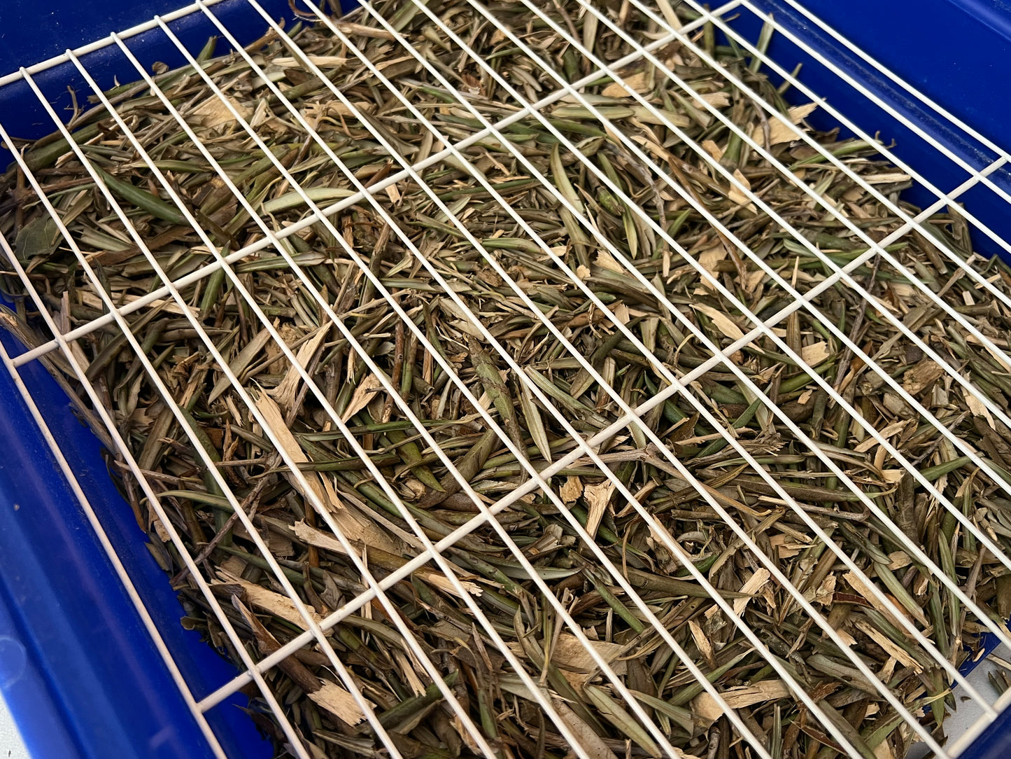 Fondo Vegetal de Olivo – Limpieza natural para jaulas de aves