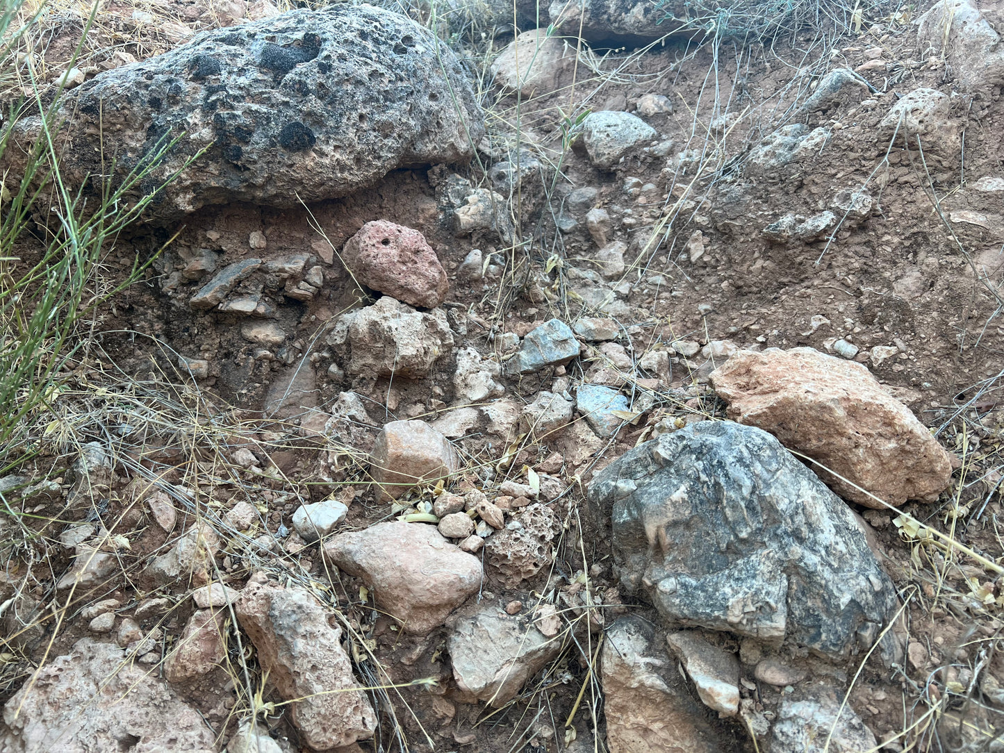 Piedras Naturales para Decoración – LoroLivo