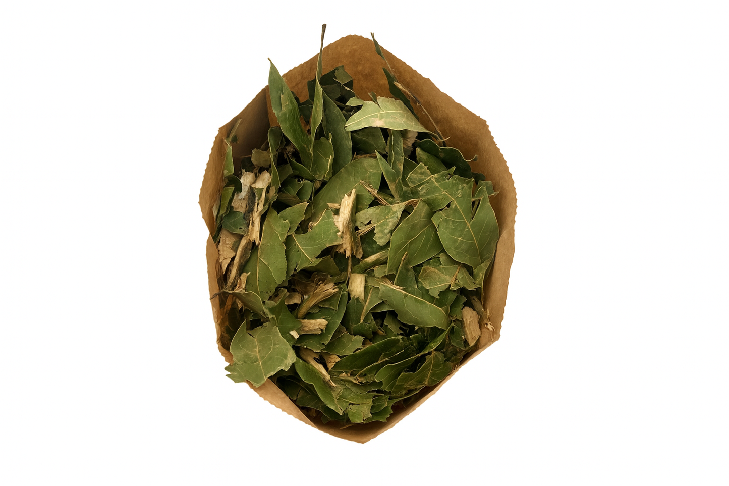 Forrajeo Natural de Laurel – Hojas y Trozos de Rama para Aves