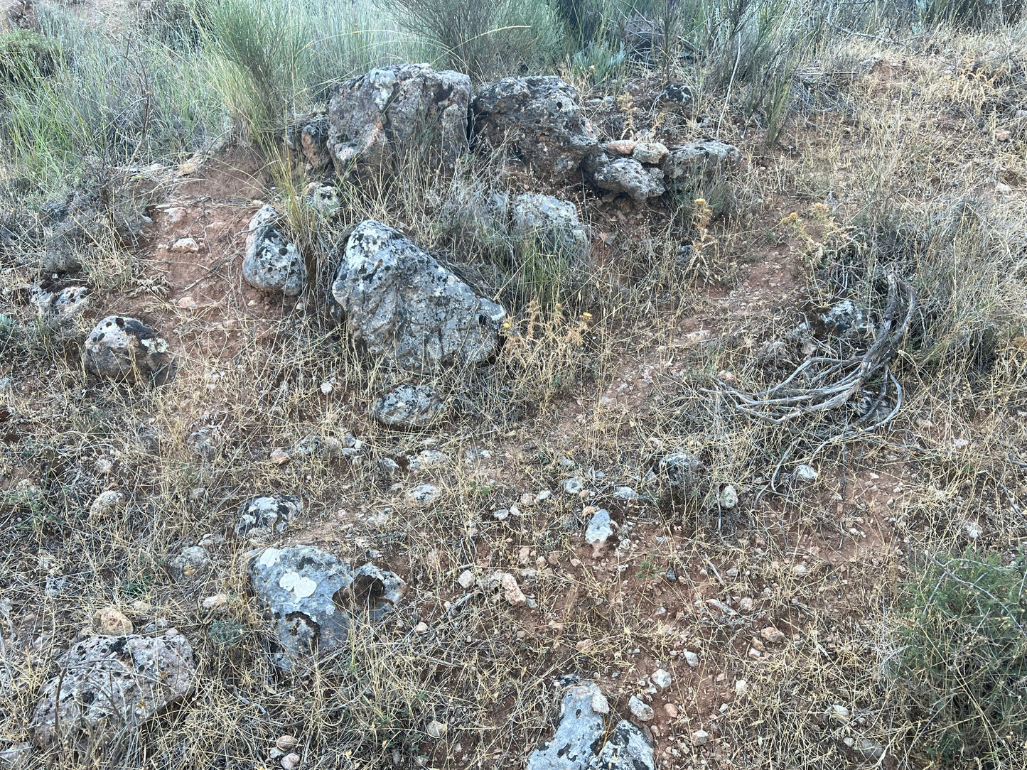 Piedras Naturales para Decoración – LoroLivo