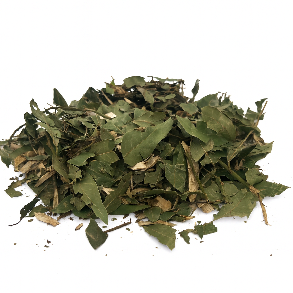 Forrajeo Natural de Laurel – Hojas y Trozos de Rama para Aves