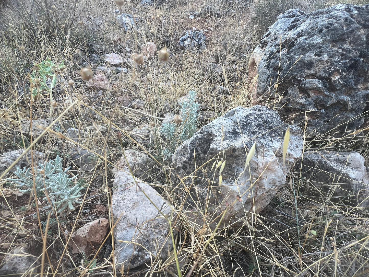 Piedras Naturales para Decoración – LoroLivo