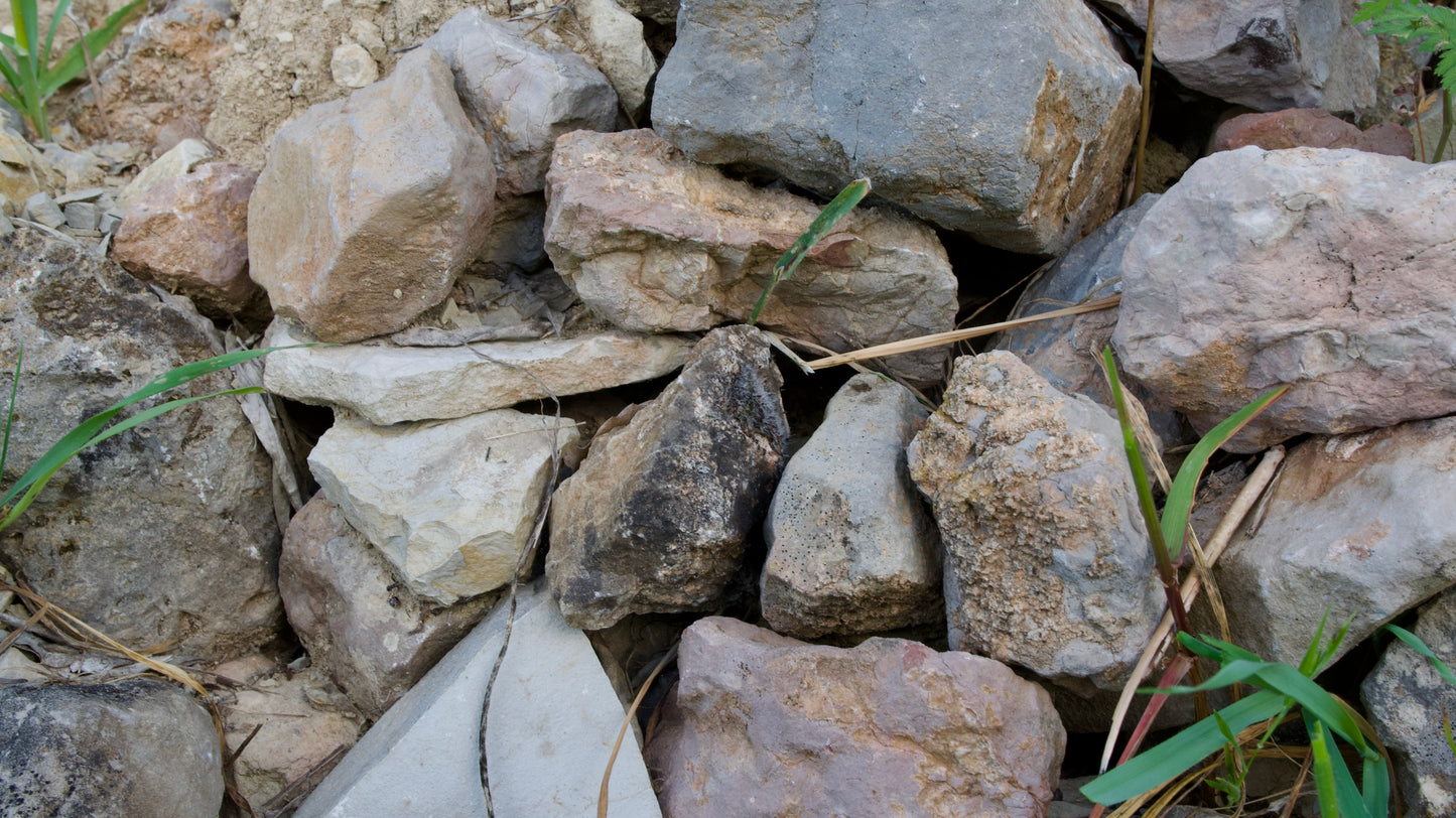 Piedras Naturales para Decoración – LoroLivo