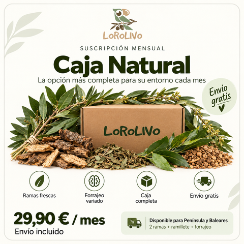Suscripciones mensuales para loros de Lorolivo