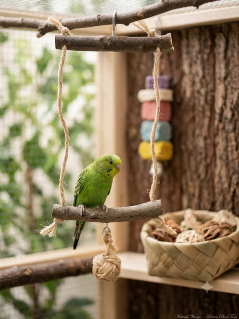 Periquito usando un juguete colgante de madera de olivo con cuerda y pelota de sisal en una voladera.