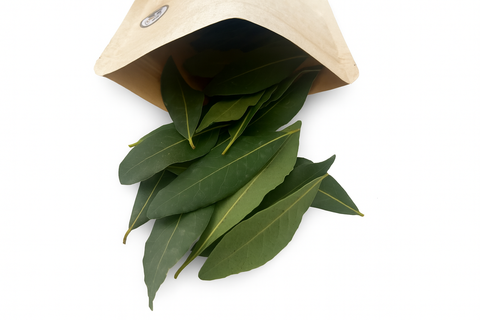 Hojas de Laurel Natural para Loros, Agapornis, Ninfas y Otras Aves – Ecológicas y Seguras | LoroLivo