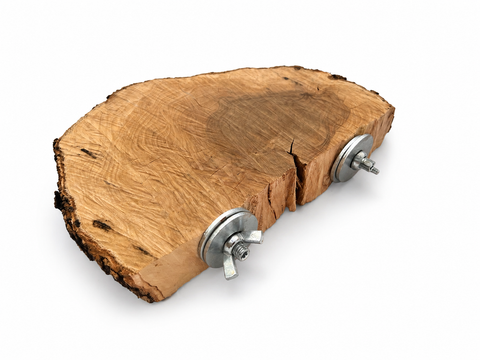 Percha plataforma de olivo natural para loros con doble anclaje sobre fondo blanco