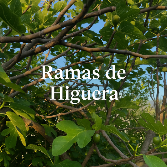 Ramas de Higuera Naturales para Loros, Agapornis, Ninfas y Aves Exóticas – Seguras y Secas