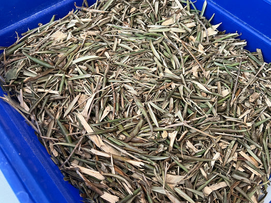 Fondo Vegetal de Olivo – Limpieza natural para jaulas de aves