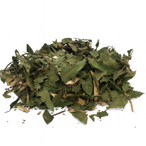 Forrajeo natural de laurel de 80 g incluido en el pack de bienvenida Lorolivo.