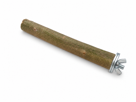 Percha de olivo natural para loros con anclaje metálico sobre fondo blanco