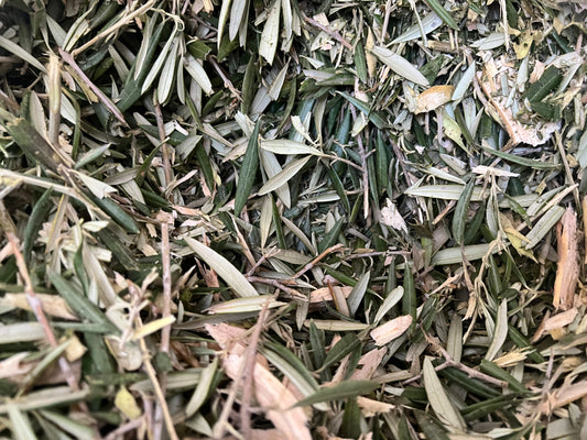 Fondo Vegetal de Olivo – Limpieza natural para jaulas de aves