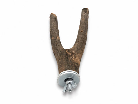 Vista superior de una percha de madera natural de olivo con forma de horquilla o Y para jaulas de loros, destacando la separación entre sus dos ramas.
