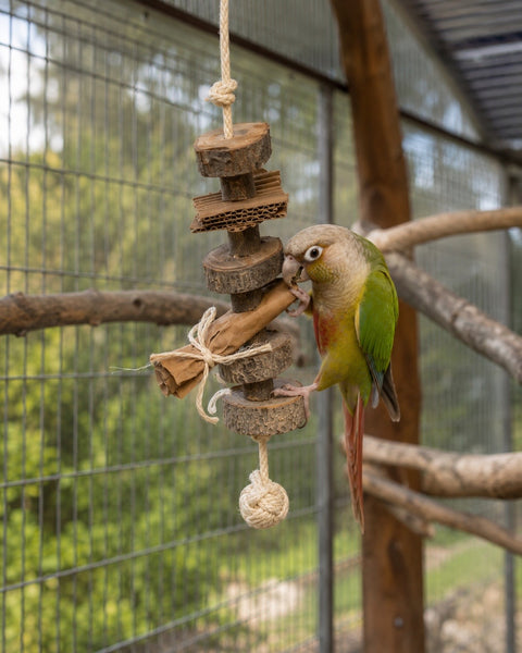 Loro mordiendo el papel kraft de un juguete colgante natural para loros de laurel, cartón y sisal en una voladera.