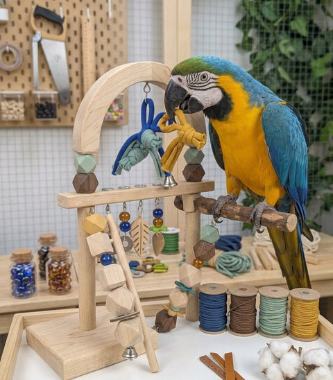 Cuerda de Trapillo para Loros – Corte por metros | Lorolivo