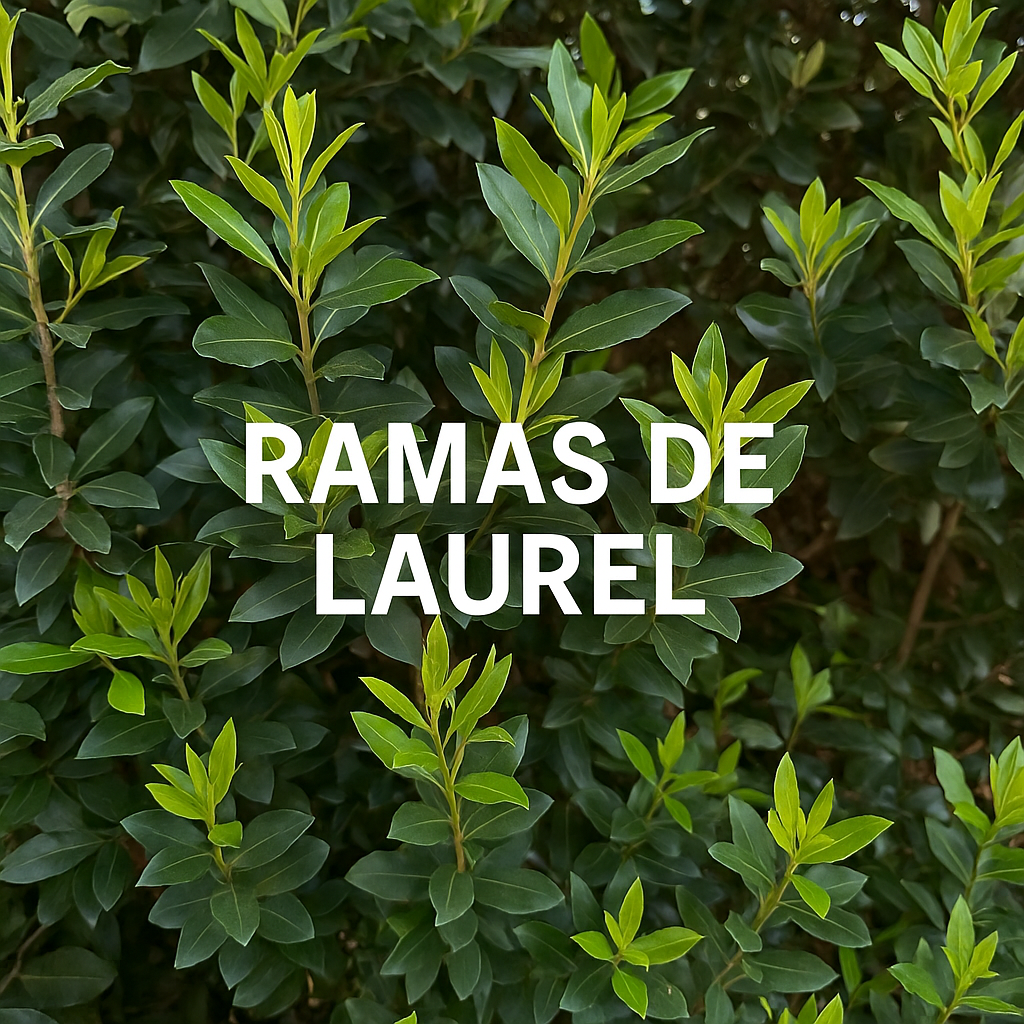 Ramas de Laurel Natural - Para Loros, Agapornis, Ninfas, Periquitos y Cotorras