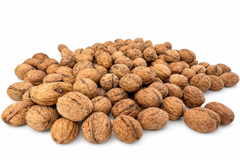 Nueces naturales con cáscara para forrajeo de loros