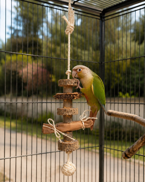 Loro jugando con juguete colgante natural para loros de laurel, cartón y cuerda de sisal en una voladera.