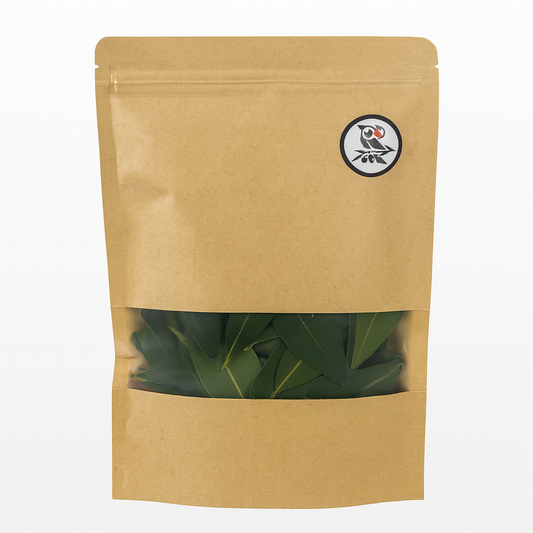 Hojas de Laurel Natural para Loros, Agapornis, Ninfas y Otras Aves – Ecológicas y Seguras | LoroLivo