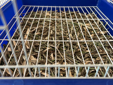 Fondo Vegetal de Olivo – Limpieza natural para jaulas de aves