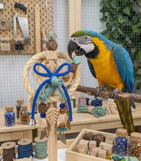 Cuerda de Trapillo para Loros – Corte por metros | Lorolivo