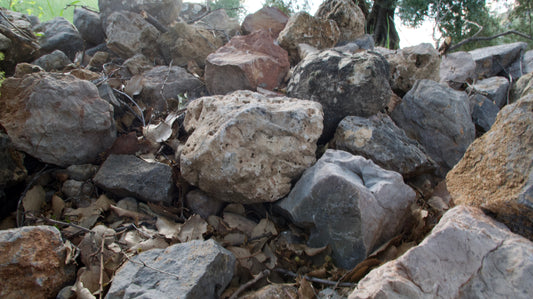 Piedras Naturales para Decoración – LoroLivo