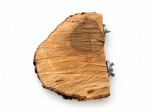 Vista superior de una percha plataforma de madera de olivo natural para loros