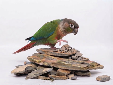 Piedra natural en lascas para loros, jaulas y voladeras