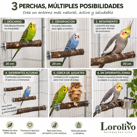 Medidas del pack de perchas de olivo: dos de 20 cm y una de 30 cm