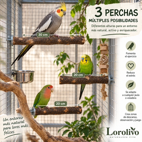 Tres perchas de olivo natural instaladas a diferentes alturas en una voladera con loros