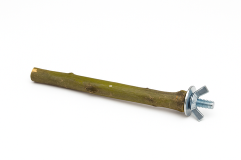 Percha para loros de madera de olivo con anclaje metálico de palomilla