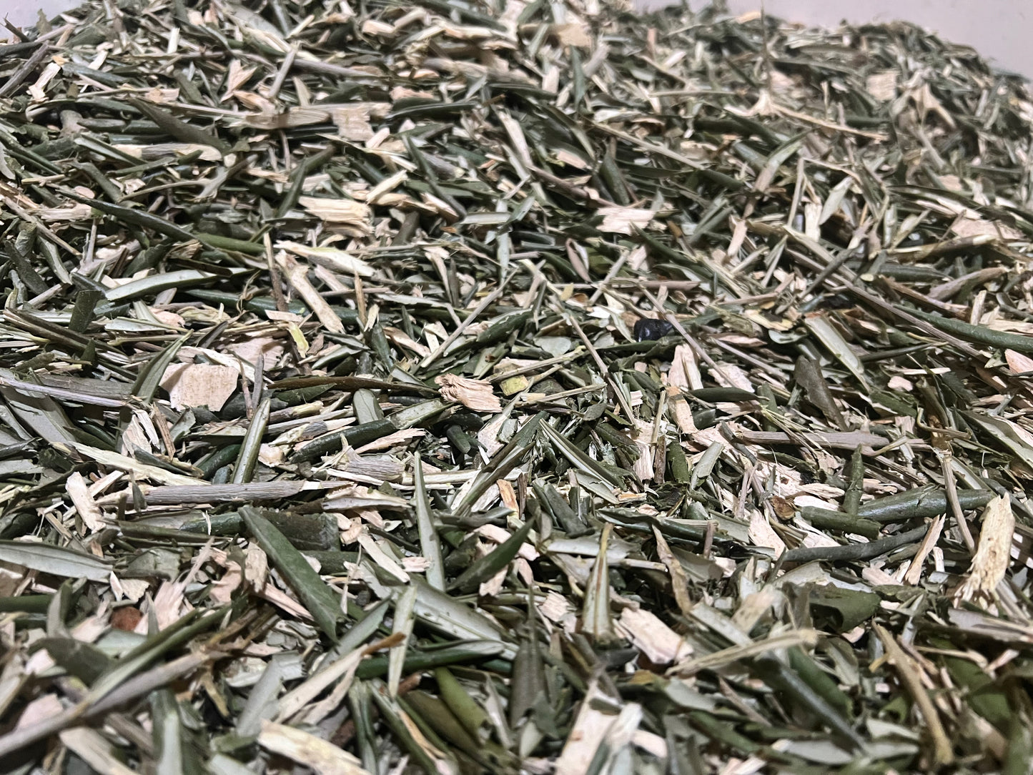 Fondo Vegetal de Olivo – Limpieza natural para jaulas de aves