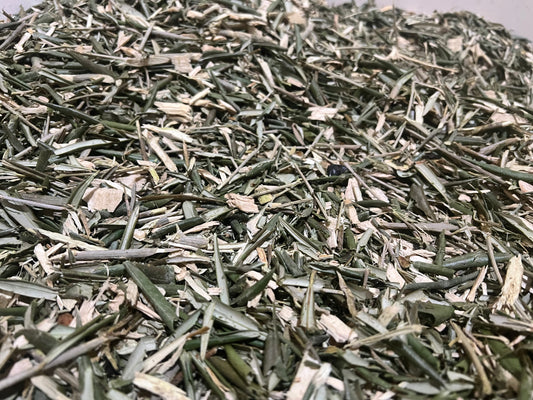 Fondo Vegetal de Olivo – Limpieza natural para jaulas de aves