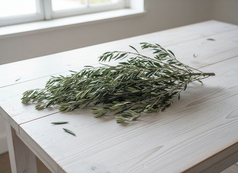 Rama de olivo ecológica recién recolectada sobre mesa de madera, lista para el forrajeo natural y saludable de aves.