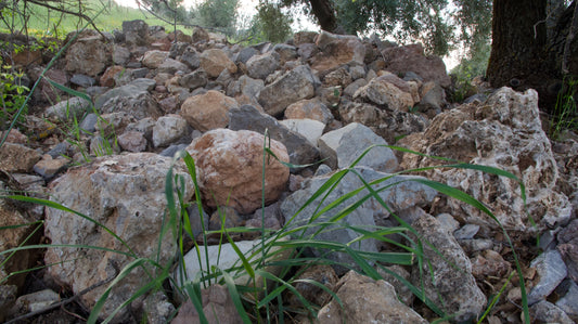 Piedras Naturales para Decoración – LoroLivo