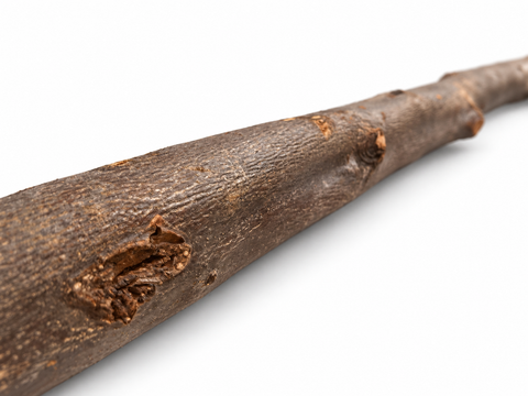 Textura y corteza natural de la madera de olivo del posadero