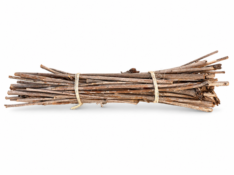 Manojo de palitos secos de olivo para loros, atados con fibra natural sobre fondo blanco