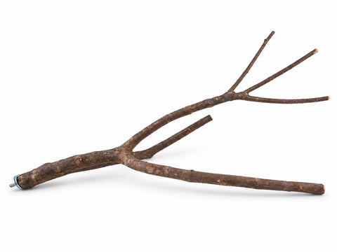 Percha multirrama natural PU-001, vista lateral de sus ramas curvas