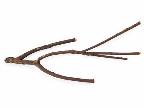 Percha única para loro de 85 cm de largo PU-001, vista superior con todas sus ramas