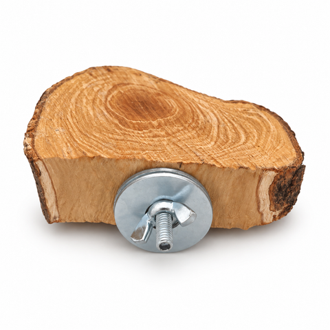 Percha plataforma mini de olivo natural para loros con anclaje metálico
